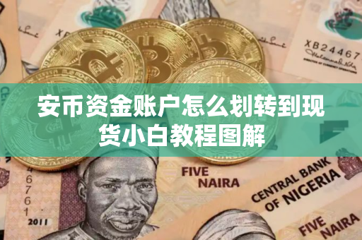 安币资金账户怎么划转到现货小白教程图解