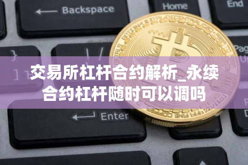 交易所杠杆合约解析_永续合约杠杆随时可以调吗