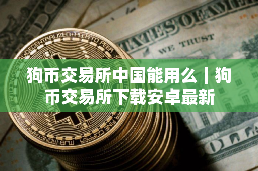 狗币交易所中国能用么｜狗币交易所下载安卓最新
