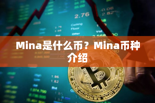 Mina是什么币？Mina币种介绍