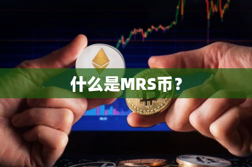 什么是MRS币？
