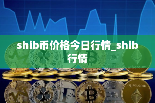 shib币价格今日行情_shib行情