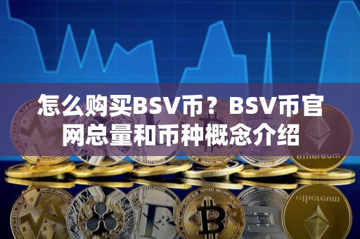 怎么购买BSV币？BSV币官网总量和币种概念介绍