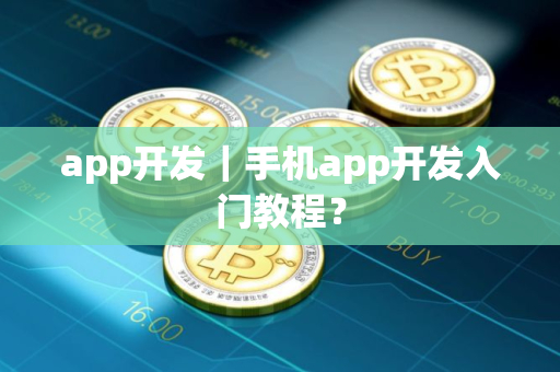 app开发｜手机app开发入门教程？