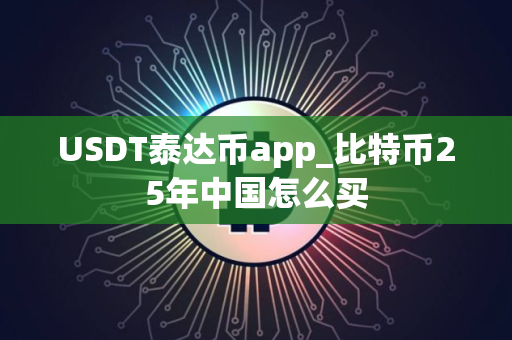 USDT泰达币app_比特币25年中国怎么买