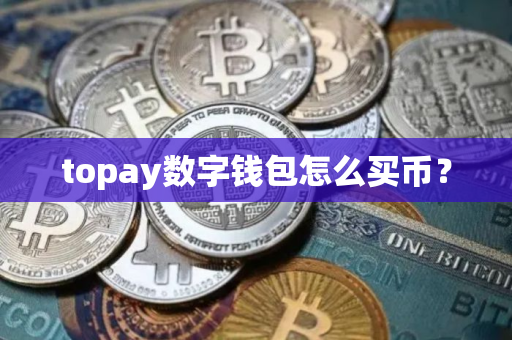 topay数字钱包怎么买币？