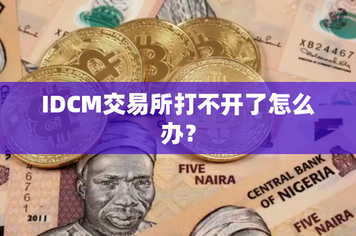 IDCM交易所打不开了怎么办？