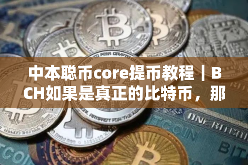 中本聪币core提币教程｜BCH如果是真正的比特币，那么**TC是不是？