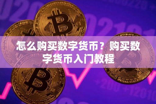 怎么购买数字货币？购买数字货币入门教程
