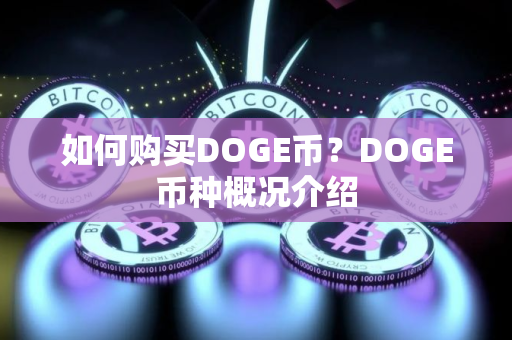 如何购买DOGE币？DOGE币种概况介绍