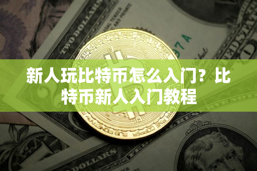 新人玩比特币怎么入门？比特币新人入门教程
