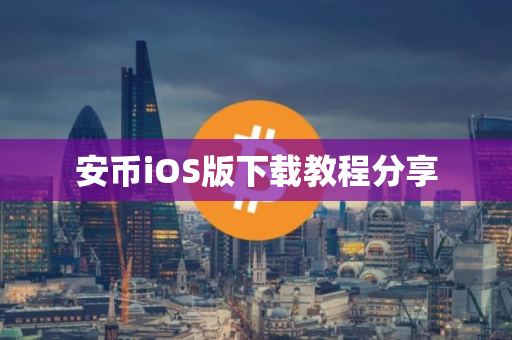 安币iOS版下载教程分享