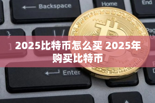 2025比特币怎么买 2025年购买比特币