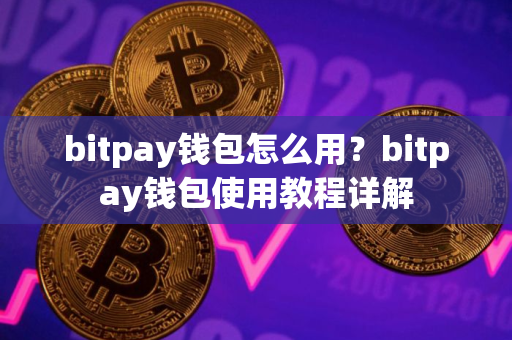 bitpay钱包怎么用？bitpay钱包使用教程详解