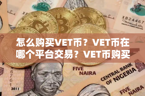怎么购买VET币？VET币在哪个平台交易？VET币购买交易教程