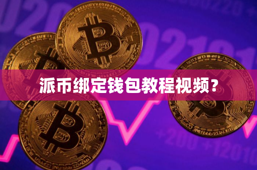 派币绑定钱包教程视频？