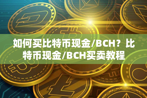 如何买比特币现金/BCH？比特币现金/BCH买卖教程