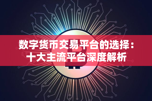 数字货币交易平台的选择：十大主流平台深度解析