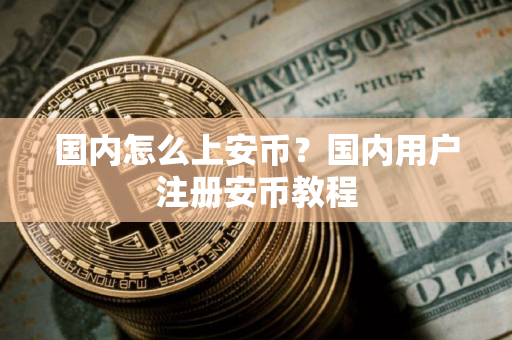 国内怎么上安币？国内用户注册安币教程