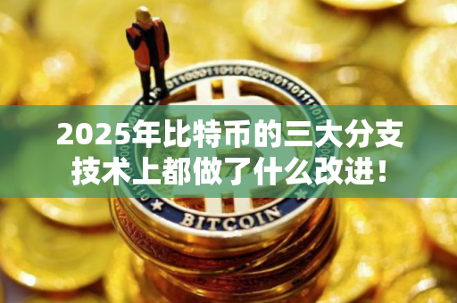 2025年比特币的三大分支技术上都做了什么改进！