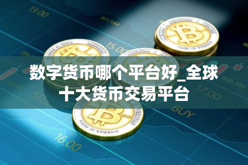 数字货币哪个平台好_全球十大货币交易平台