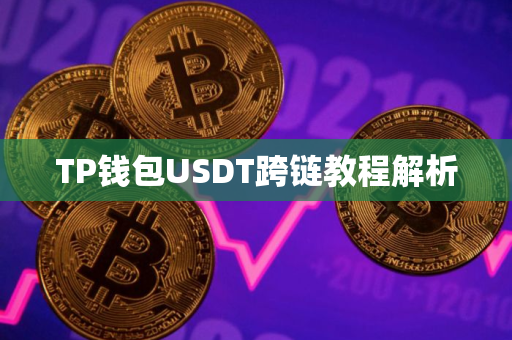 TP钱包USDT跨链教程解析