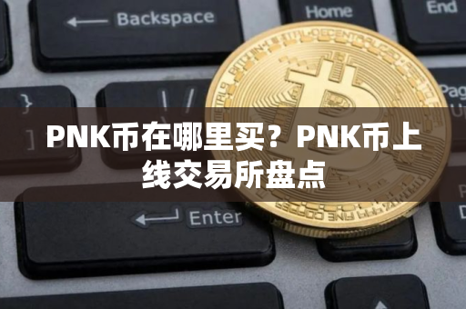 PNK币在哪里买？PNK币上线交易所盘点