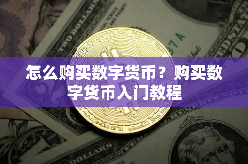 怎么购买数字货币？购买数字货币入门教程
