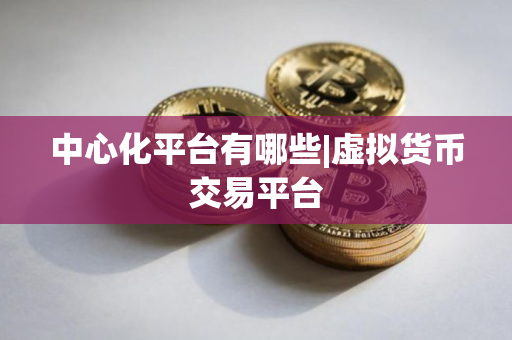 中心化平台有哪些|虚拟货币交易平台