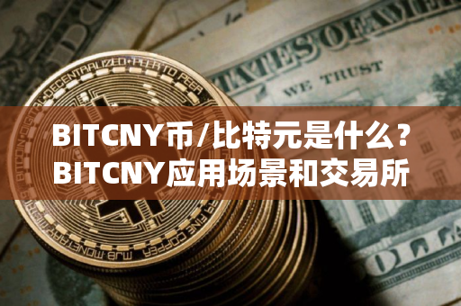 BITCNY币/比特元是什么？BITCNY应用场景和交易所盘点