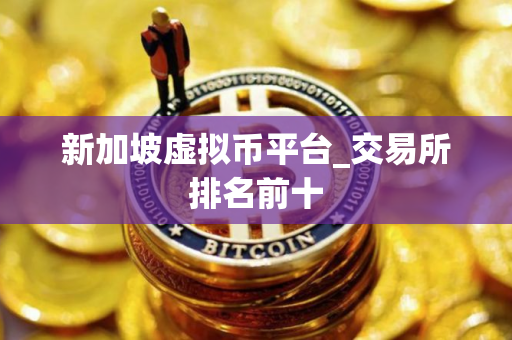 新加坡虚拟币平台_交易所排名前十