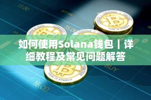如何使用Solana钱包｜详细教程及常见问题解答