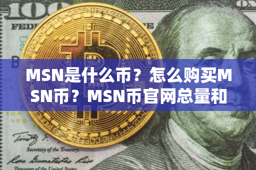 MSN是什么币？怎么购买MSN币？MSN币官网总量和币种概念介绍