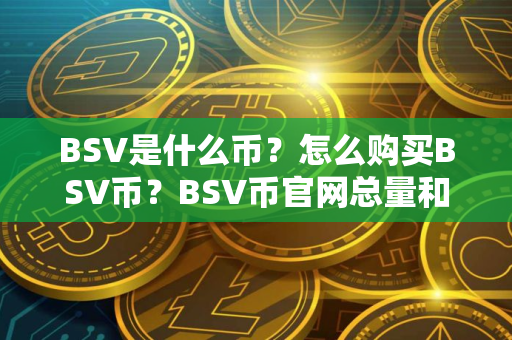 BSV是什么币?怎么购买BSV币?BSV币官网总量和币种概念介绍