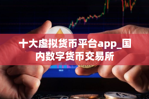 十大虚拟货币平台app_国内数字货币交易所