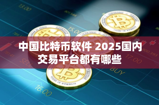 中国比特币软件 2025国内交易平台都有哪些