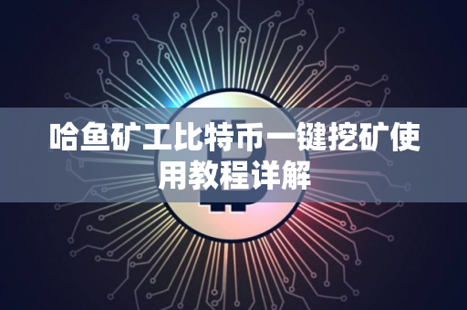 哈鱼矿工比特币一键挖矿使用教程详解