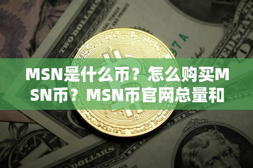 MSN是什么币？怎么购买MSN币？MSN币官网总量和币种概念介绍