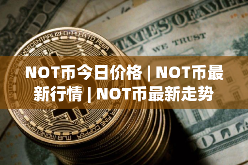 NOT币今日价格 | NOT币最新行情 | NOT币最新走势