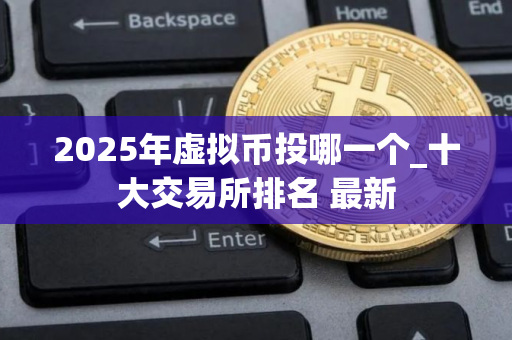 2025年虚拟币投哪一个_十大交易所排名 最新