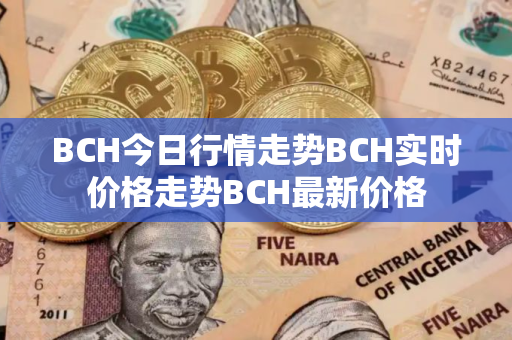 BCH今日行情走势BCH实时价格走势BCH最新价格 BCH今日行情走势BCH实时价格走势BCH最新价格