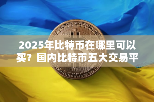 2025年比特币在哪里可以买？国内比特币五大交易平台