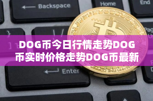DOG币今日行情走势DOG币实时价格走势DOG币最新价格