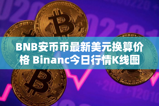 BNB安币币最新美元换算价格 Binanc今日行情K线图