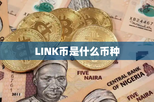 LINK币是什么币种