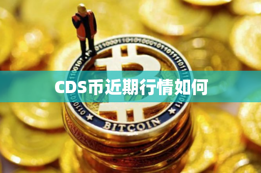 CDS币近期行情如何