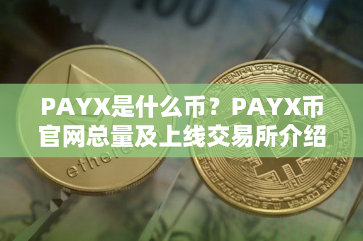 PAYX是什么币？PAYX币官网总量及上线交易所介绍