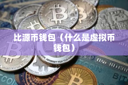 比源币钱包（什么是虚拟币钱包）
