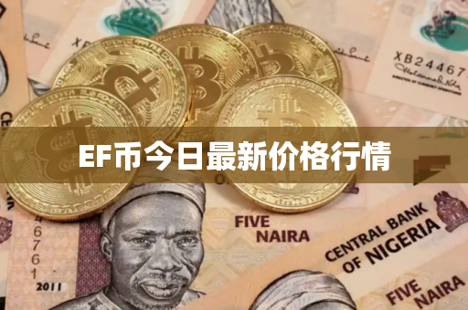 EF币今日最新价格行情