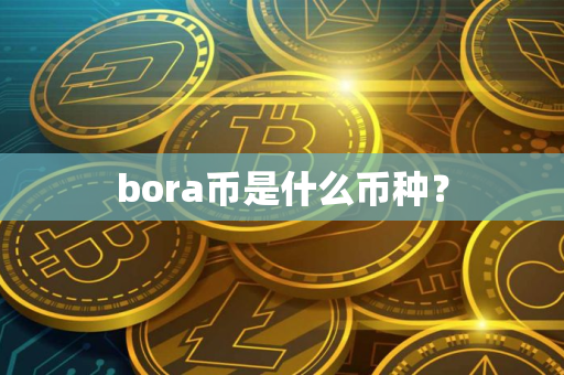 bora币是什么币种？